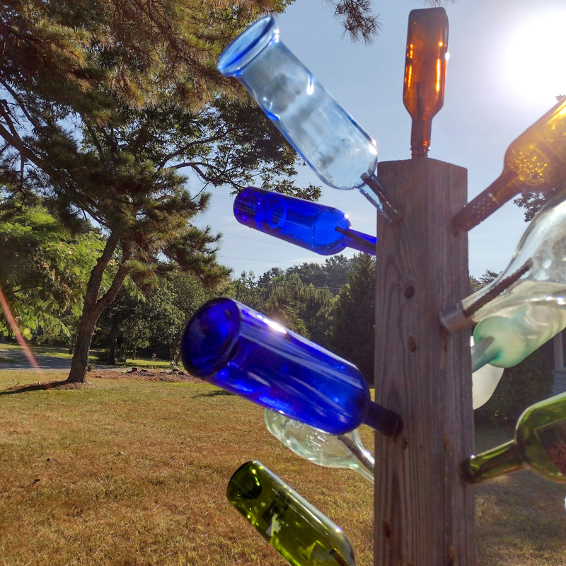 Bottle Tree, North Carolina